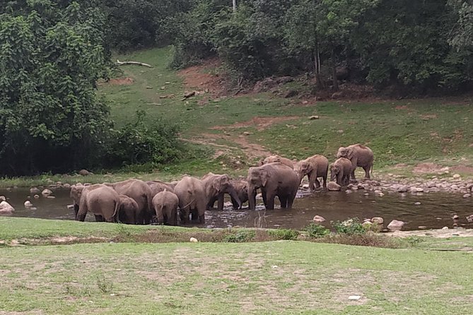 1 Day Activity Adventure Trekking Kerala - A long day from Kochi to Anakulam