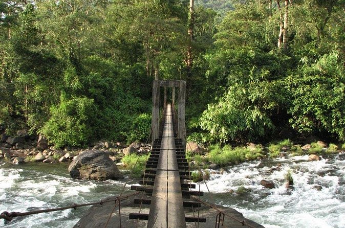 1 Day Activity Adventure Trekking Kerala - Who will enjoy this Anakulam trip most