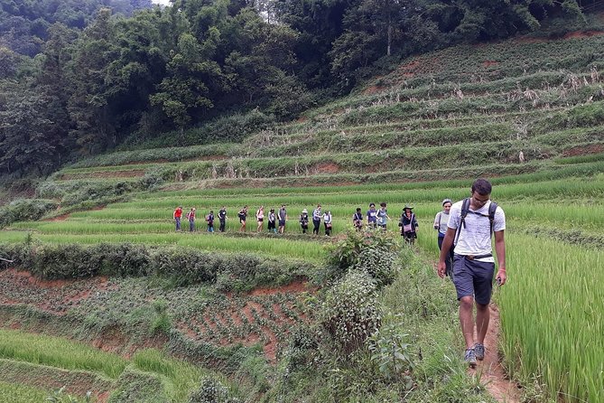 1-day Authentik trek & Panorama valley views - Lunch, spring rolls, and a sensible pause