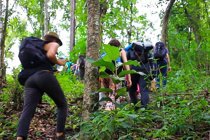 1 day private eco-trekking at Mae Sa Pok - Why Mae Sa Pok makes a worthwhile day trip