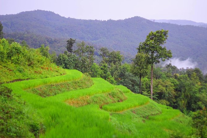 1 day private eco-trekking at Mae Sa Pok - Lunch after the waterfall