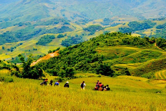 1 day Private tour Sapa trekking Y Linh Ho - Lao Chai - Ta Van (start from Sapa) - Key points to know before booking