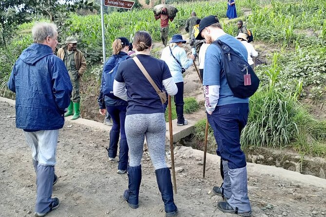 1 Day Rwanda Gorilla Trekking Tour - Key points to know before you book