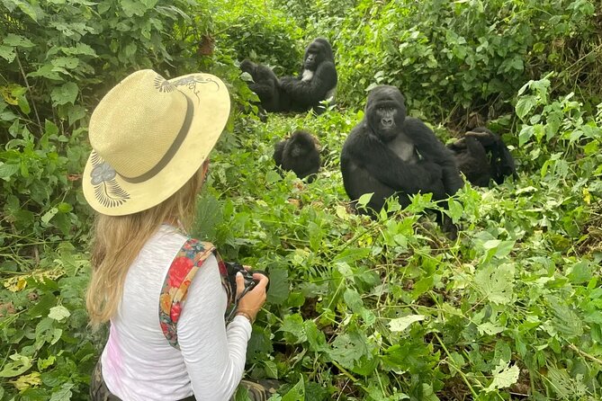 1 Day Rwanda Gorilla Trekking Tour In The Volcanoes National Park - Lunch, the return drive, and Iby’iwacu