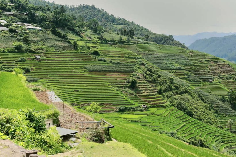1-Day Sapa Long Trek - Rice Field Terrace, Ethnic Culture - Traditional cloth, natural dyes, and village craft