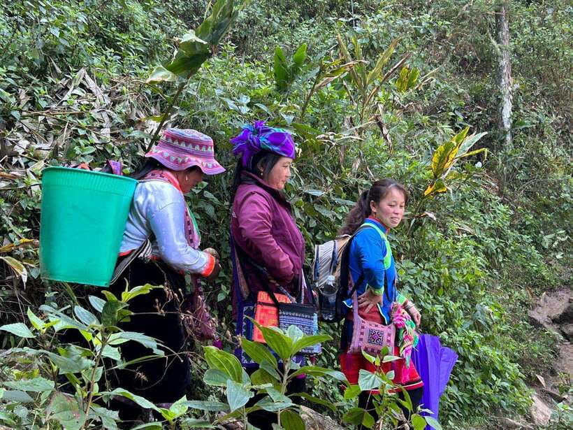 1 Day Sapa Trek&Home-cooked Lunch HmongSisterHouse&Trekking - Why This Sa Pa Walk Feels More Personal