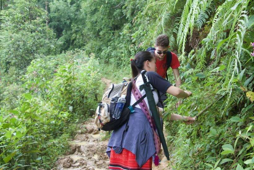 1 Day Sapa Trek&Home-cooked Lunch HmongSisterHouse&Trekking - From Sa Pa Town Into the Rice Paddies