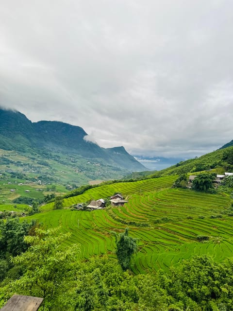 1 DAY Trek the Most Beautiful Villages of Sapa & Local Guide - Should you book the Sapa village trek?