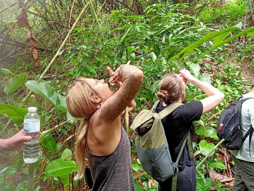 1 Day trekking : Chiang Rai popular activity,Fun in Nature. - Who should book this Chiang Rai trek?