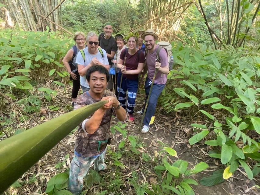 1 Day trekking : Chiang Rai popular activity,Fun in Nature. - Lisu village and lunch in a bamboo hut