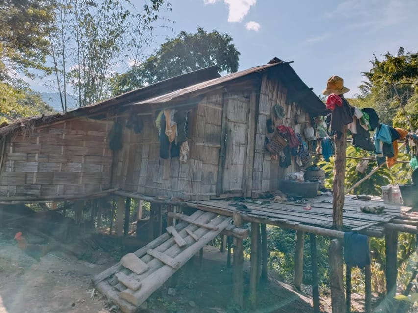 1 Day trekking : Chiang Rai popular activity,Fun in Nature. - Group size, pace, and physical demands