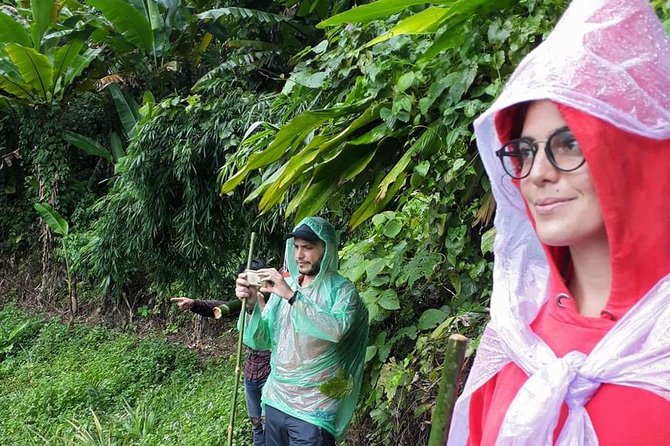 1 Day Trekking Group Tour With Bamboo Cooking / Chiang Rai - Villages and tea country add human context