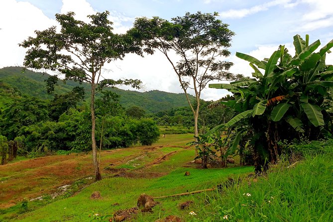 1 Day Trekking Group Tour With Bamboo Cooking / Chiang Rai - Who will enjoy this trek most
