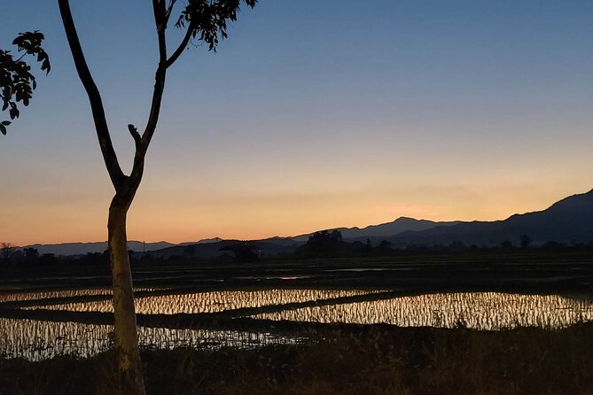 1 Day Trekking in Chiang Mai - Learning about plants, farming, and herbal medicine