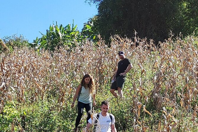 1 Day Trekking in Chiang Mai - What the private format is worth at $94.01