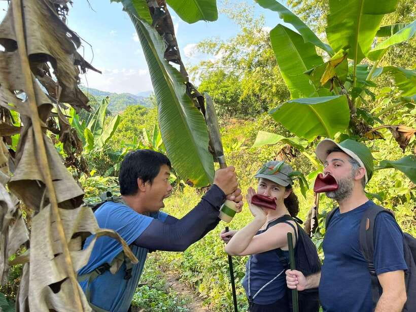 1 Day Trekking in Chiang Rai forest (walk only) - Why this Chiang Rai trek feels different