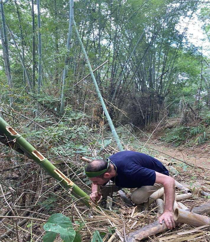 1 Day Trekking in Chiang Rai forest (walk only) - Lahu and Akha villages along the route