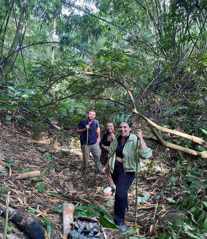 1 Day Trekking in Chiang Rai forest (walk only) - Chinese village, tea plantations, and farmland