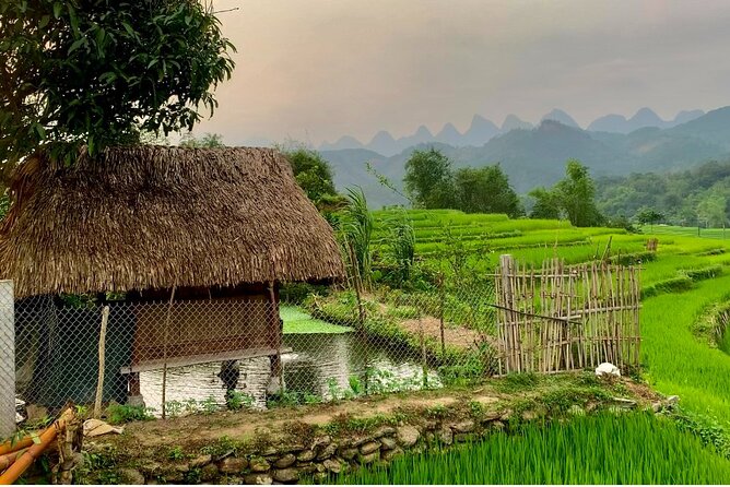 1 Day Trekking Tour in Ha Giang with Local Experts - A Dao family lunch with bamboo-grilled pork