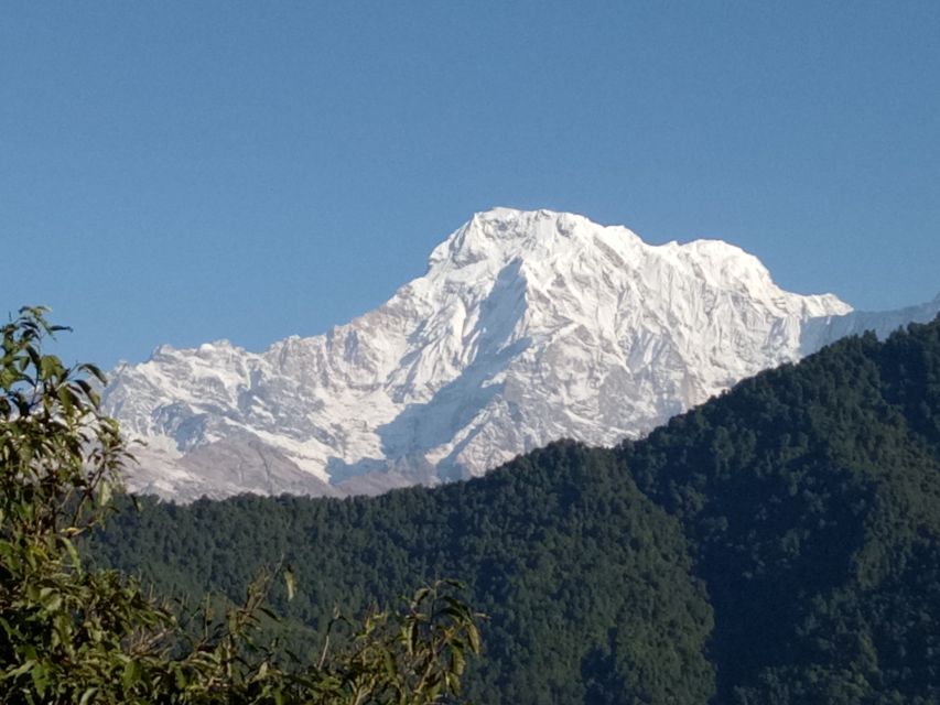 1 N 2 Days easy Dhampus,Australian camp trek from Pokhara - The route down to Dhampus