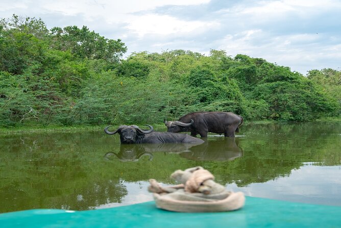 10 Days Affordable Gorilla Trekking Holiday - Day 1: A soft landing in Entebbe