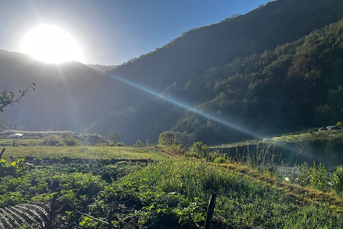 10 days Annapurna Base Camp Trek - Day 3: From Ghandruk to Chhomrong
