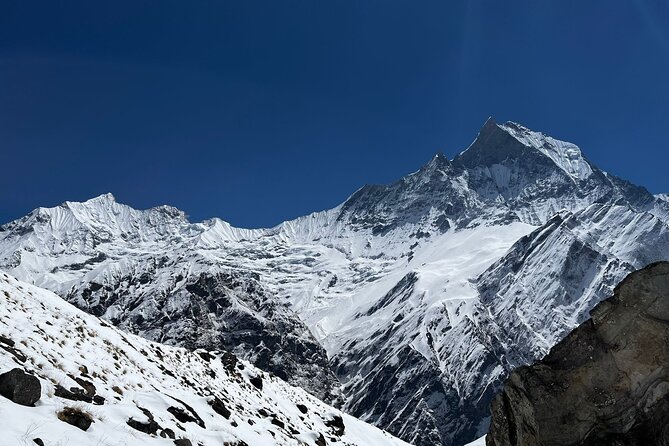 10 days Annapurna Base Camp Trek - Day 4: Forest trails through Sinuwa, Bamboo, and Dovan