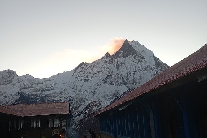 10 Days Annapurna Base Camp Trekking - Day 6: The long descent to Bamboo