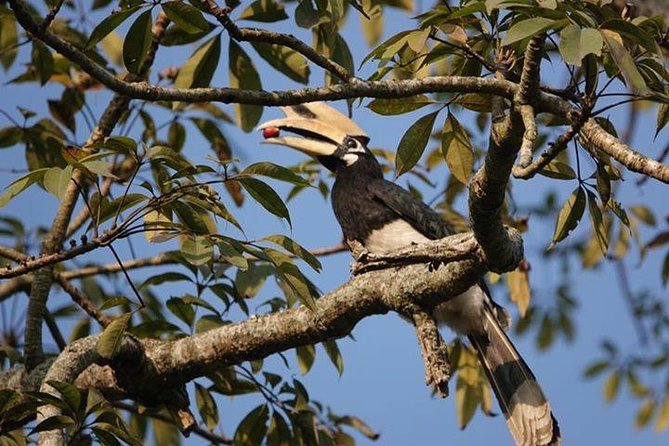 10 Days Kathmandu Chitawan Pokhara Tour with Dhampus Trek - The return to Kathmandu is a full road day