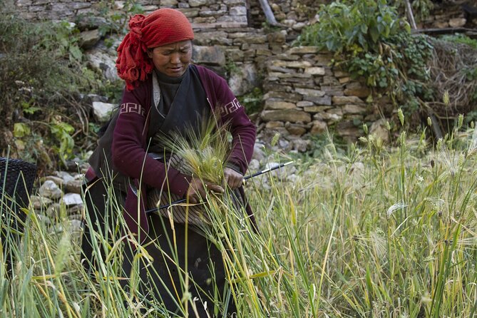10 Days Manaslu Circuit Trek in Larke La Pass - Day 7: Leaving Sama Gaon for Dharamsala