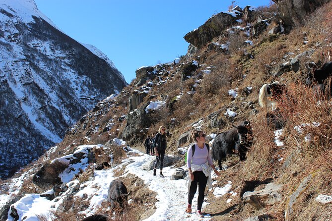 10-Days Private Langtang Valley Trek in Nepal - Day 3: Forest walking toward Lama Hotel