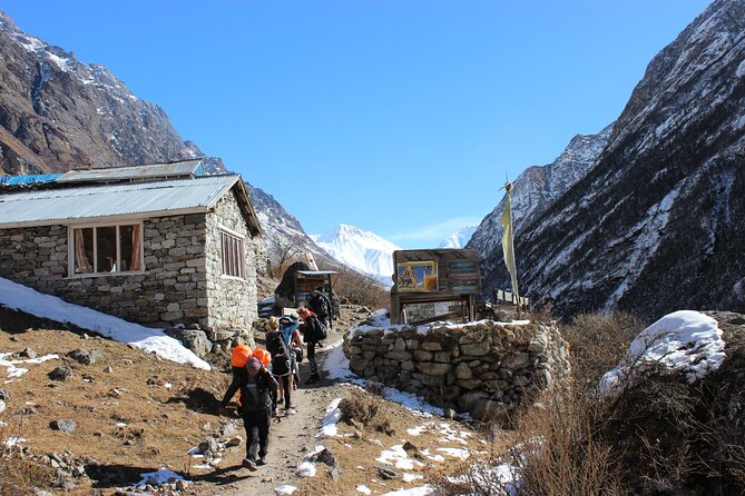10-Days Private Langtang Valley Trek in Nepal - Day 4: Ghoda Tabela and the upper valley