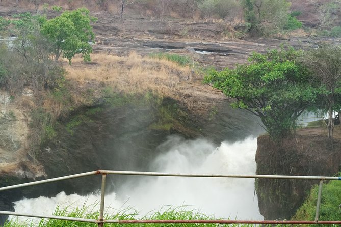 10 Days Uganda Gorilla & Chimpanzee Trekking Safari - Day 3: Murchison Falls on four wheels and by boat