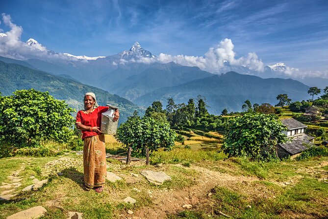 11 Days Nepal Trekking Tour - Poon Hill sunrise and the forest route to Tadapani