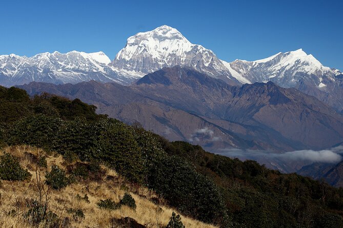 12-Day Nepal Adventure Trek with Jungle Safari - Forest trails lead to Ghandruk and Pokhara