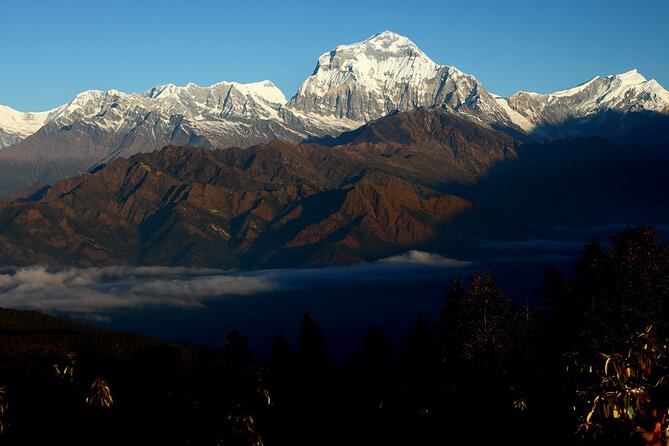 12-Day Nepal Adventure Trek with Jungle Safari - Chitwan adds a completely different Nepal