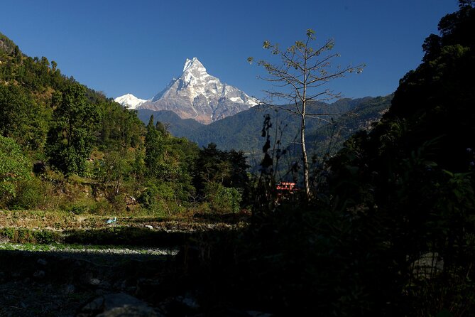 12-Day Nepal Adventure Trek with Jungle Safari - The road to Pokhara takes six hours