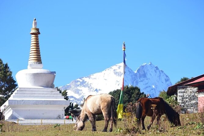12 Day Private Mt. Everest View Luxury Trek - Days 8 and 9: following the Dudh Koshi back to Lukla