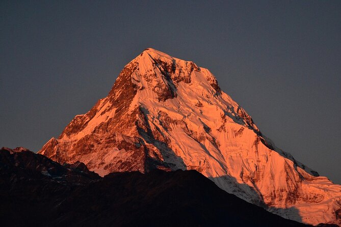 12 Days Annapurna Base Camp Trek - Days 3 and 4: Ulleri steps and Ghorepani forest