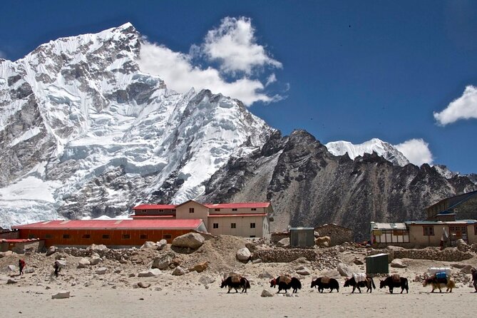 12 Days Everest Base Camp Trek - Days 10 to 12: Back through Namche and out via Lukla