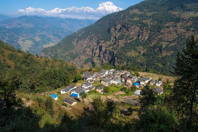 12 Days Trek Tour in Nepal - Days 1 and 2: Kathmandu, Thamel, Pashupatinath, and Boudhanath