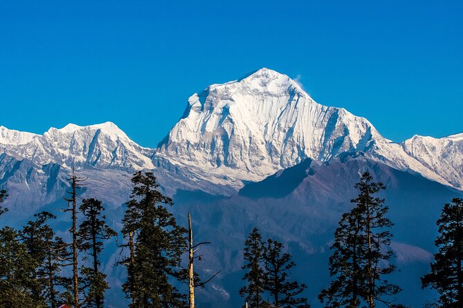 12 Days Trek Tour in Nepal - Day 5: Nangi and the life of a Magar village