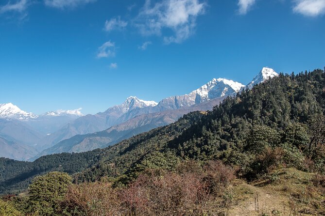 12 Days Trek Tour in Nepal - Day 6: The hard climb to Mohare Danda