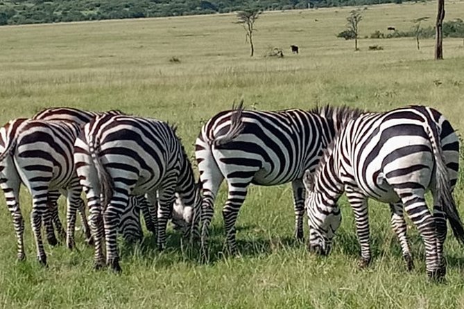 12 Days wildebeest migration Masai Mara Nakuru Uganda gorilla trekking safari - Day 7: Lake Bunyonyi offers a needed pause