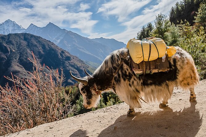 13-Day Private Trekking Experience in Everest Base Camp - Dingboche: two nights for a reason