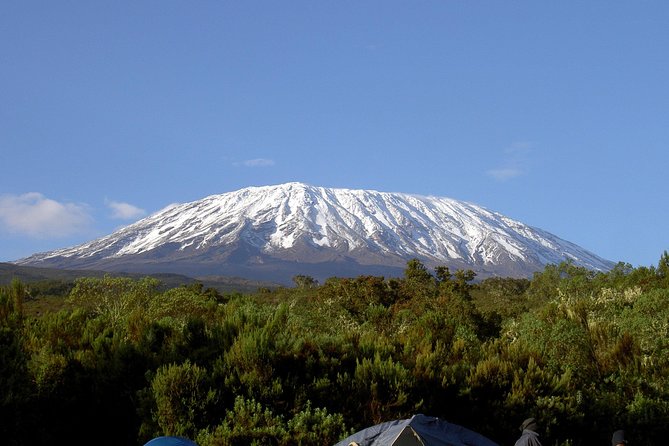 13 Days Adventure in Tanzania - Trekking and Wildlife Safari - Why this Tanzania trip feels different