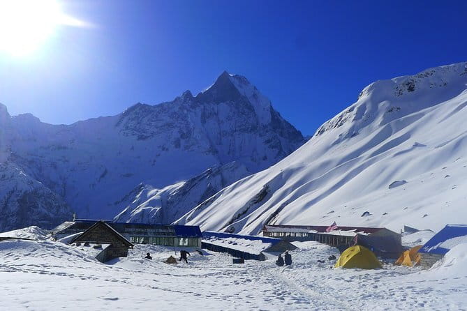 13 Days Trekking in Annapurna Circuit - Day 5: Pine forest and mountain views near Chame