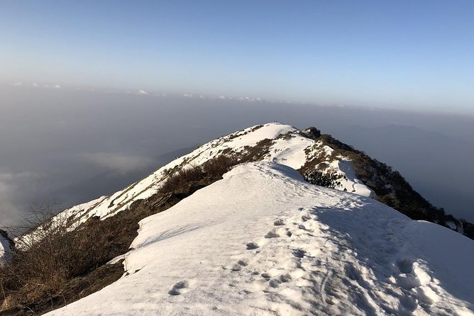 14-Day Private Annapurna Base Camp Trek - Day 10: The 18-kilometer return to Bamboo