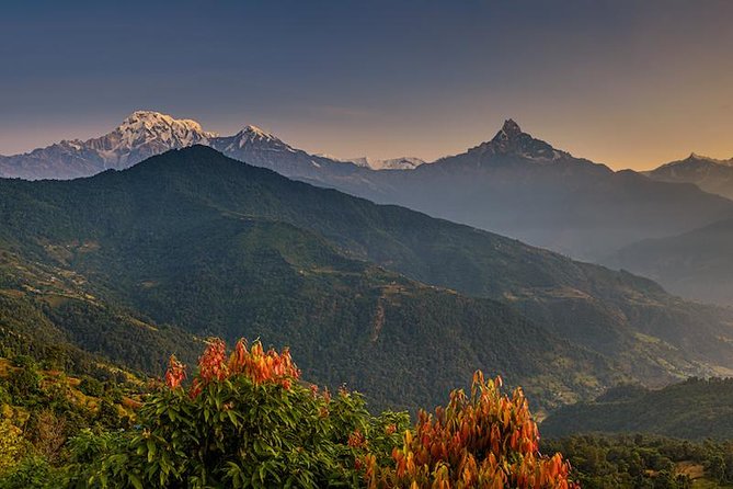14 days Annapurna Base Camp Trek - Day 6: Poon Hill sunrise and the forest route to Tadapani