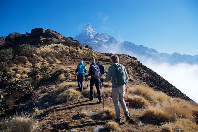 14 days Annapurna Base Camp Trek - Days 7 and 8: Chhomrong, bamboo forest, and relentless steps